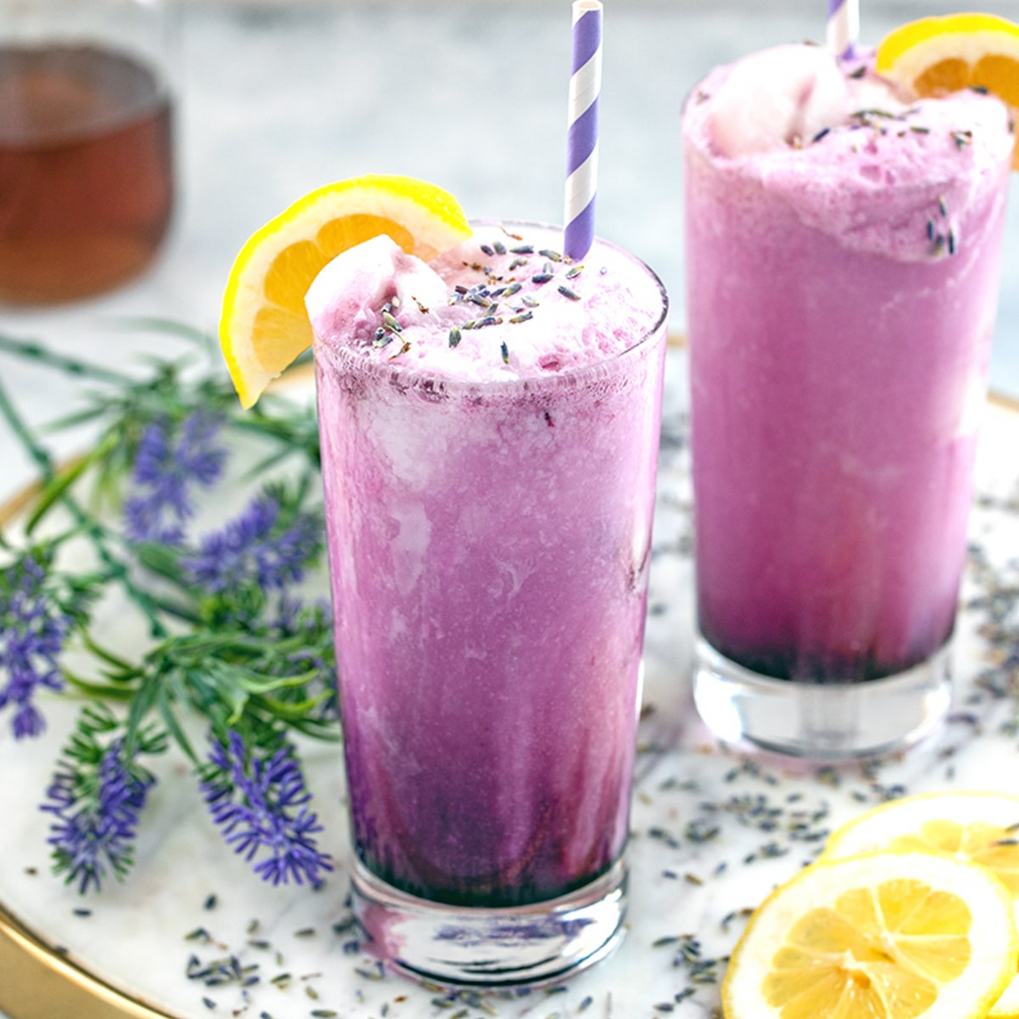 Speakeasy Cocktail Botanicals Variety Pack (5-PACK)