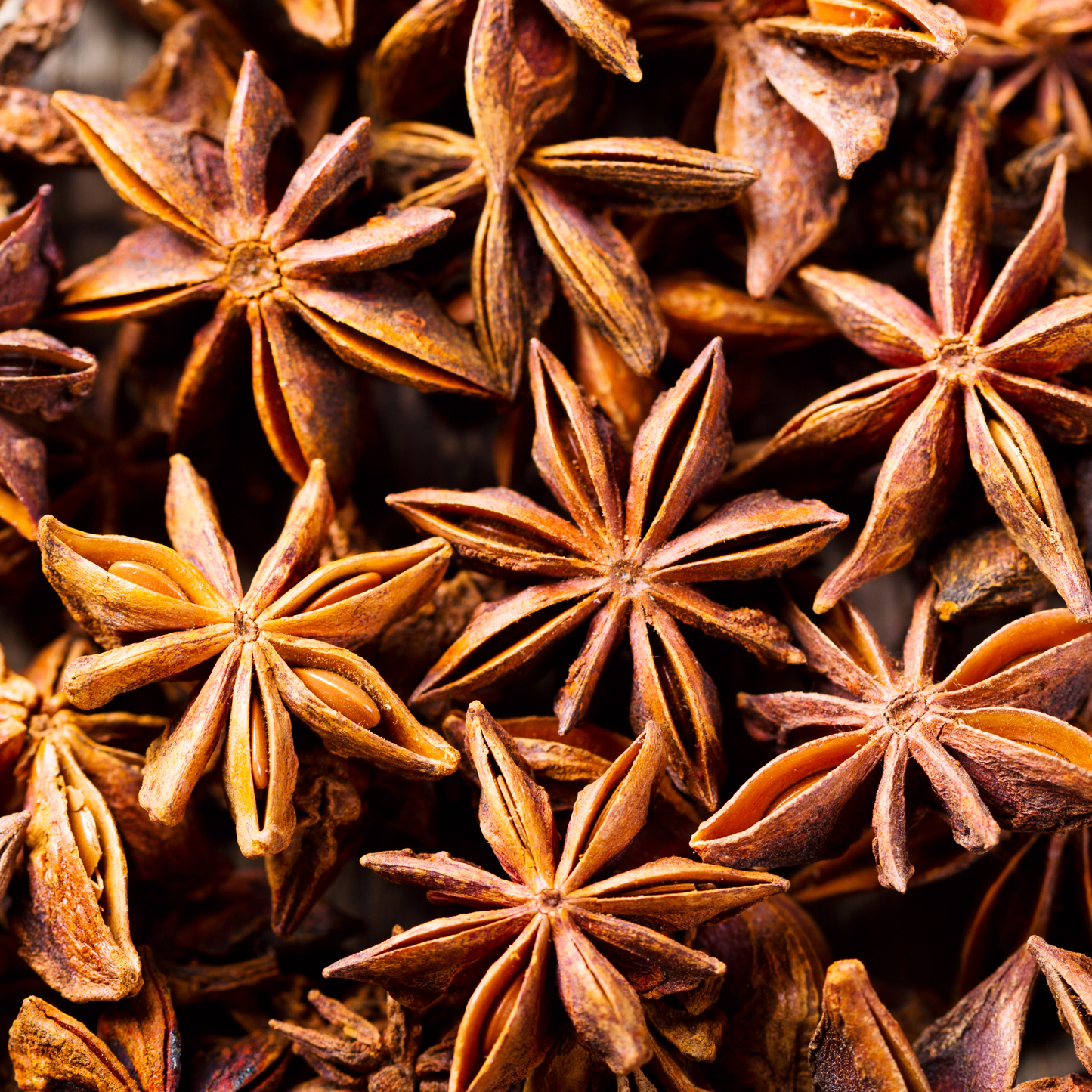 Speakeasy Premium Dried Star Anise Garnish — 0.5oz