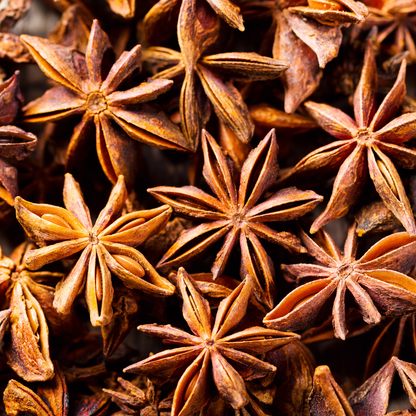 Speakeasy Premium Dried Star Anise Garnish — 0.5oz