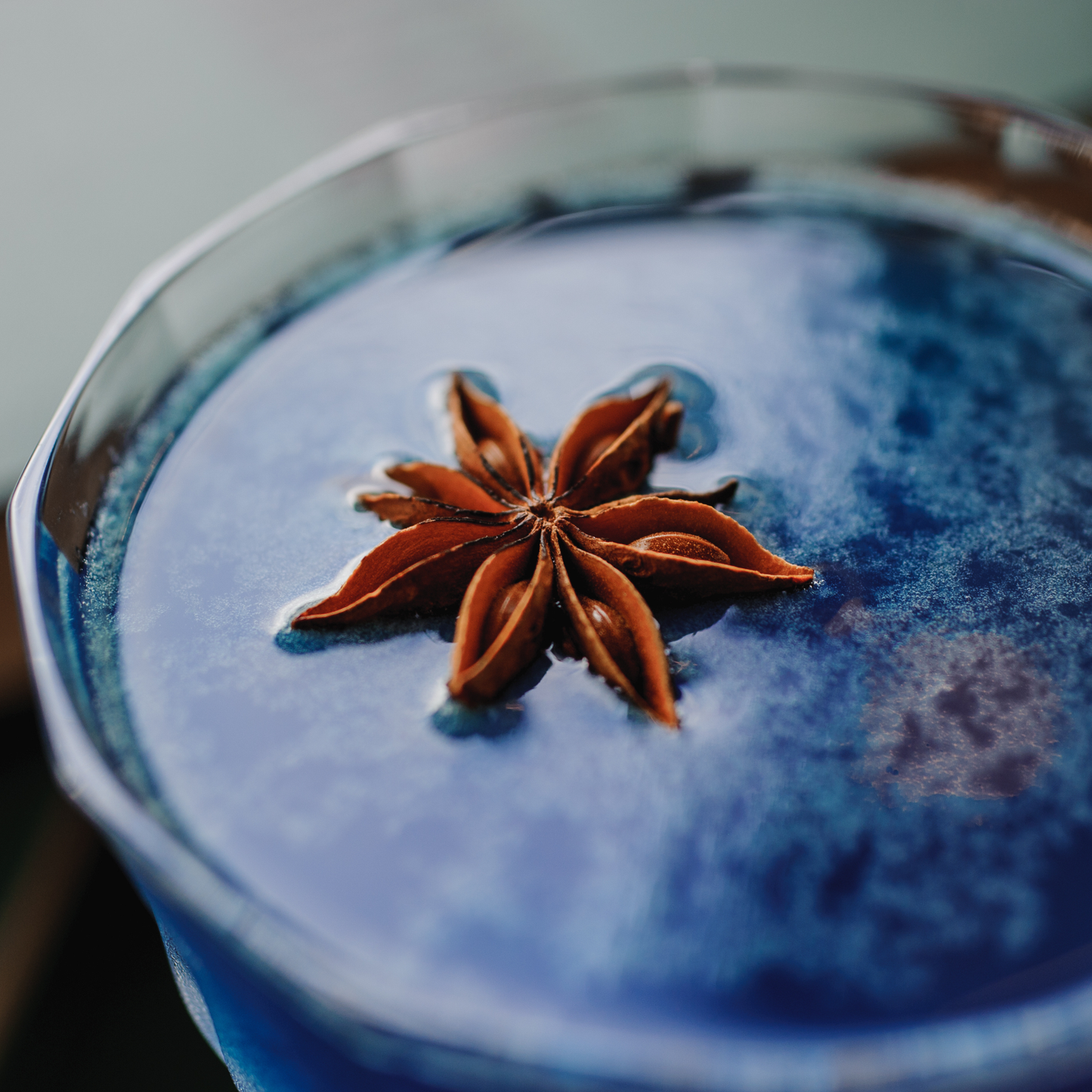 Speakeasy Premium Dried Star Anise Garnish — 0.5oz